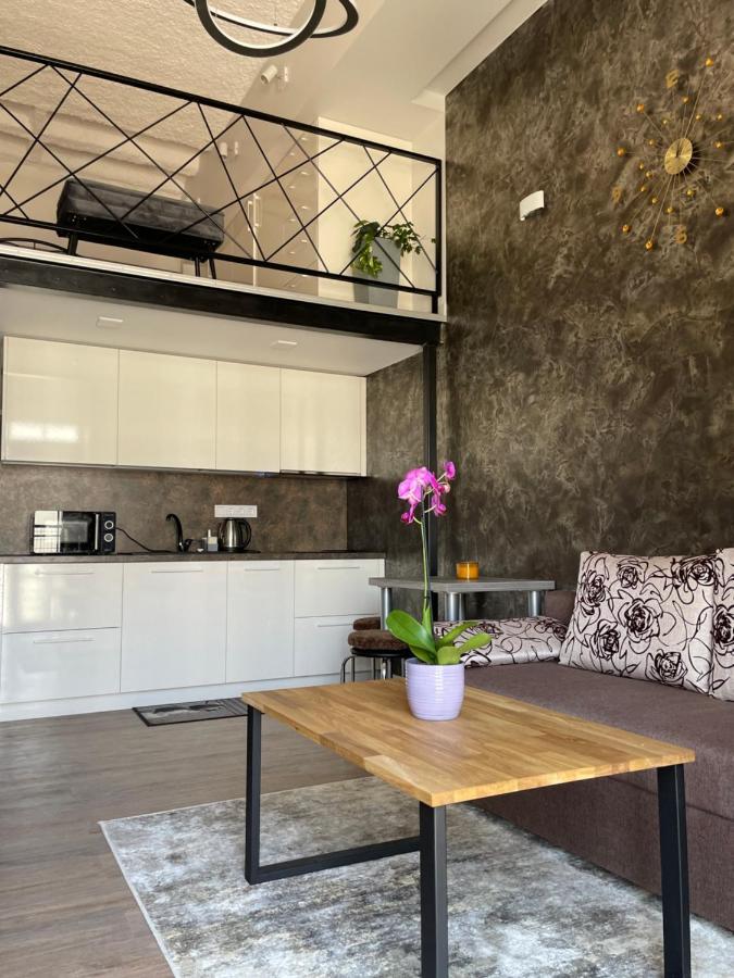 Radio City Loft Kaunas Extérieur photo